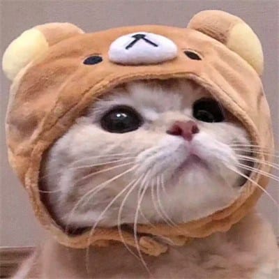 SanaAllWin avatar